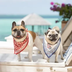 Pomegranate Inc Block Printed Sagar Red & Blue Napkins Hot