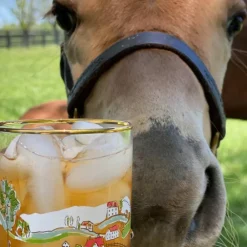 Pomegranate Inc Hunt Scene Bourbon Glass | Set of 4 Discount