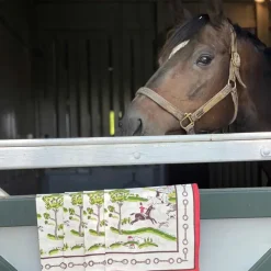 Pomegranate Inc Hunt Scene Napkins Discount