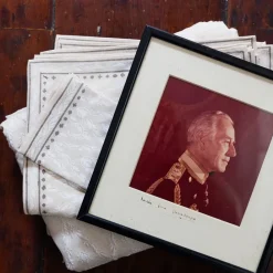 Pomegranate Inc India Hicks Home Chevron Napkins | Set of 4 New