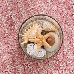 Pomegranate Inc India Hicks Home Seashell Blush Tablecloth