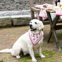 Pomegranate Inc Rose Wine Napkin | Set of 4 Sale