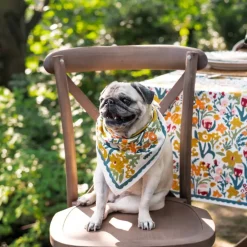 Pomegranate Inc Teal Garden Napkin | Set of 4 Clearance